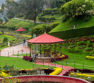 OOTY